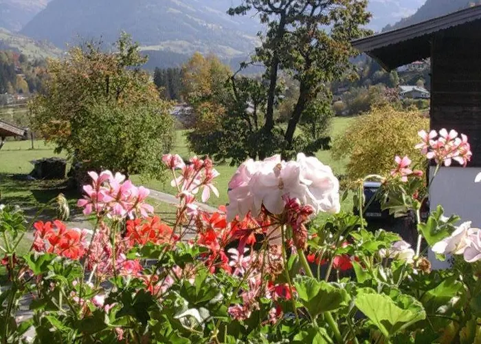 Bed & Breakfast Malernhof 3*