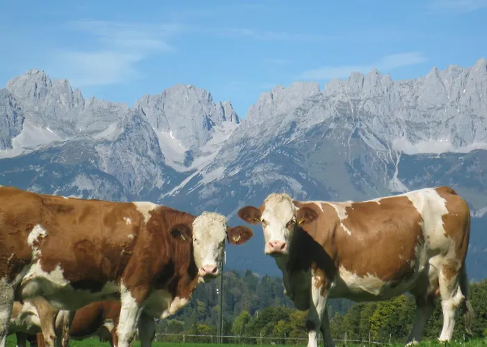 Bed & Breakfast Malernhof