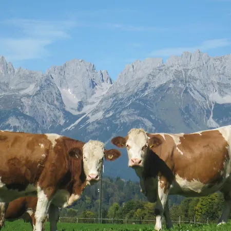 住宿加早餐酒店 玛利尔好夫酒店