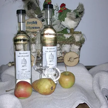 Bed and breakfast Malernhof 4*