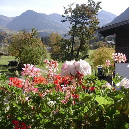 Bed & Breakfast Malernhof 3*