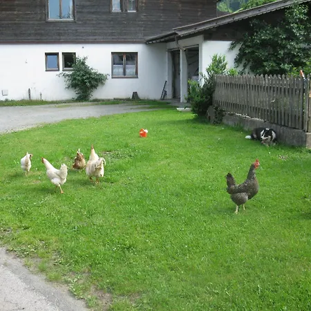Malernhof Bed & Breakfast Kitzbühel